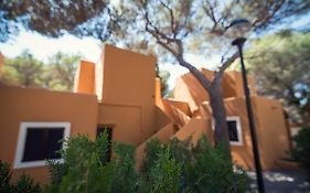 Fergus Style Punta Arabi